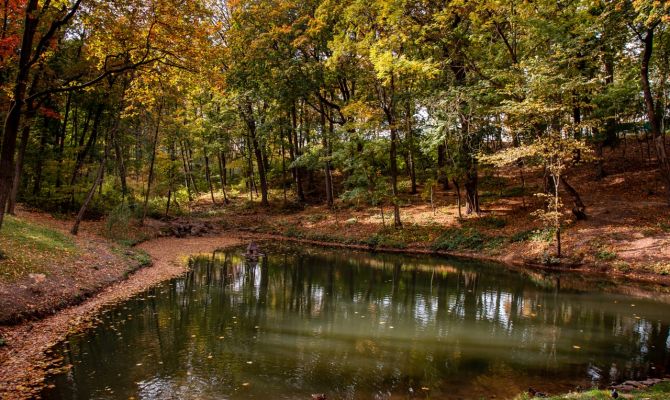 Тульская область вошла в число "хорошистов" в экорейтинге
