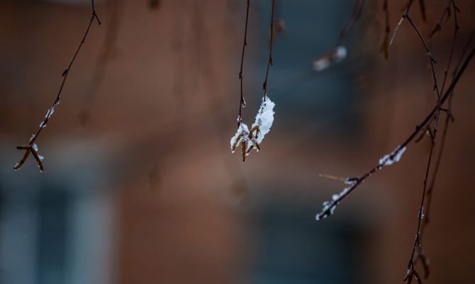 В Тульской области объявлено метеопредупреждение в связи с заморозками