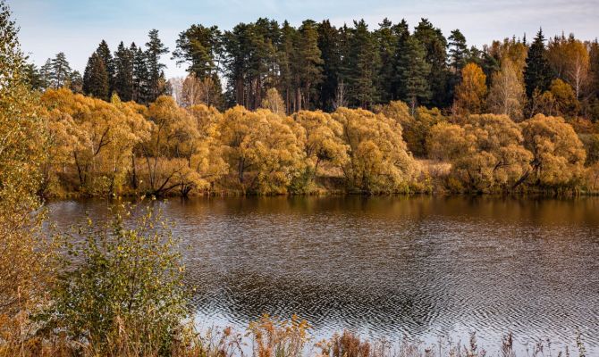 В Тульскую область пришло очередное бабье лето