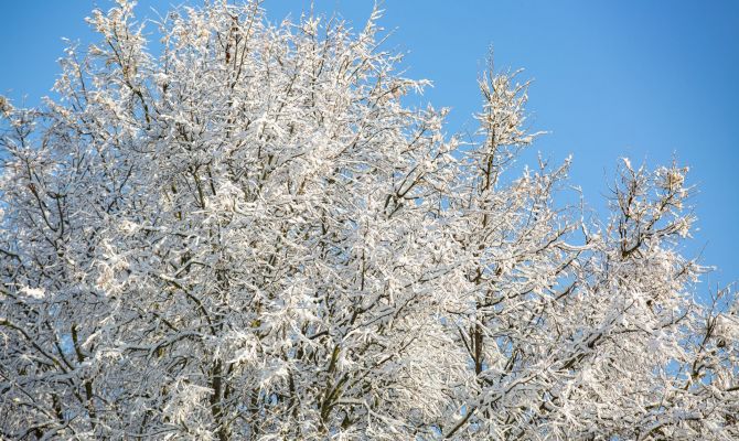Россия может потерять часть территорий
