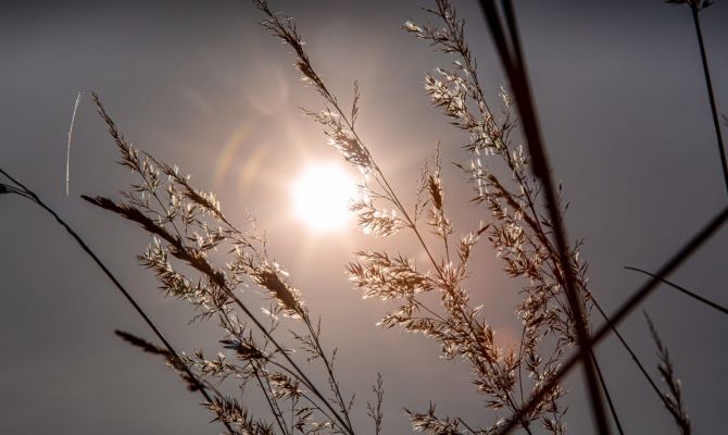 17 сентября в Тульской области будет повышенное атмосферное давление