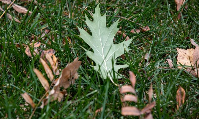 19 октября в Тульской области будет до +9 градусов