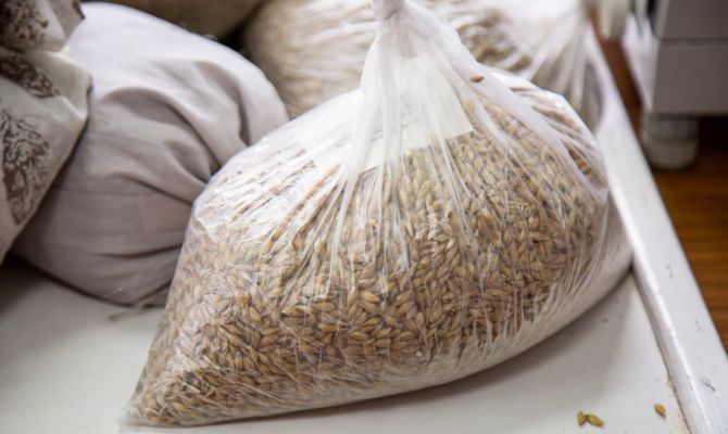 В Тульскую область завезли 56 тонн карантинного зерна ячменя