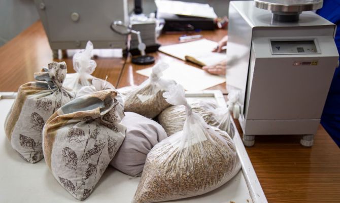 В Тульскую область пришло 50 тонн карантинной продукции