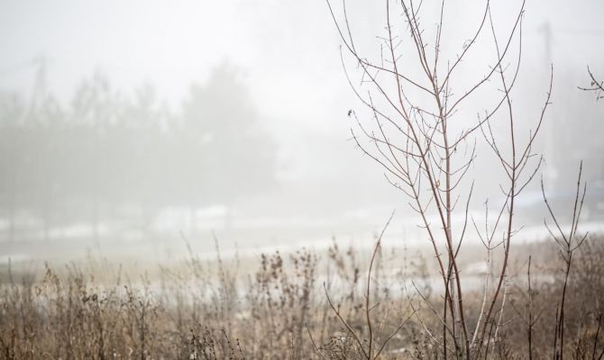 31 января в Тульской области ожидается туман