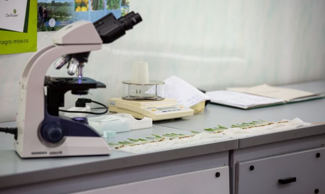 9 тульских проектов получат гранты Российского научного фонда