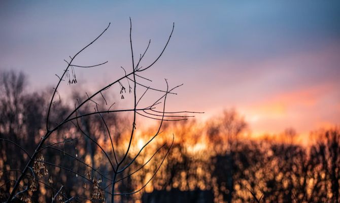 Минувшая ночь в Москве стала самой теплой в истории метеонаблюдений