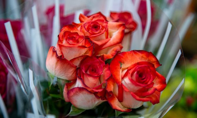 Тулячки рассказали о самых желанных подарках на 8 Марта