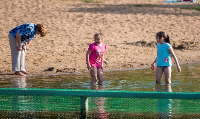 В России расширили период действия программы детского кешбэка