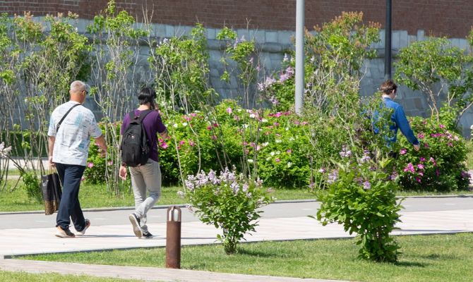 10 августа в Тульской области разогреет до +27 градусов