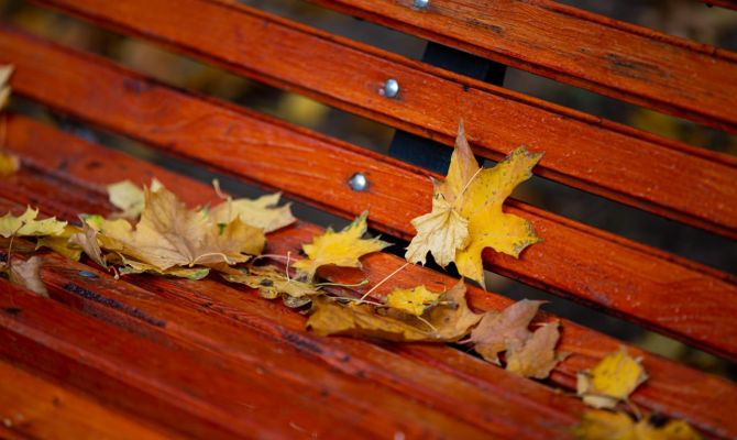 Ночью в Туле ожидается переменная облачность