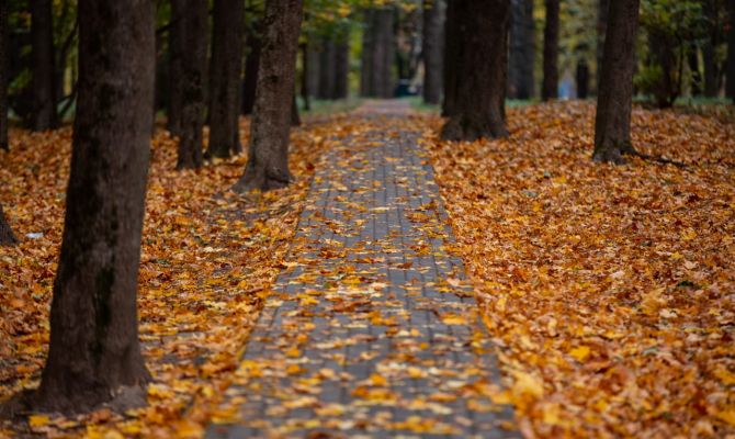 Ночью в Туле возможна слабая геомагнитная буря