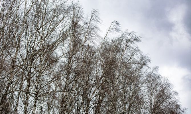 24 апреля в Тульской области будет облачно и ветрено