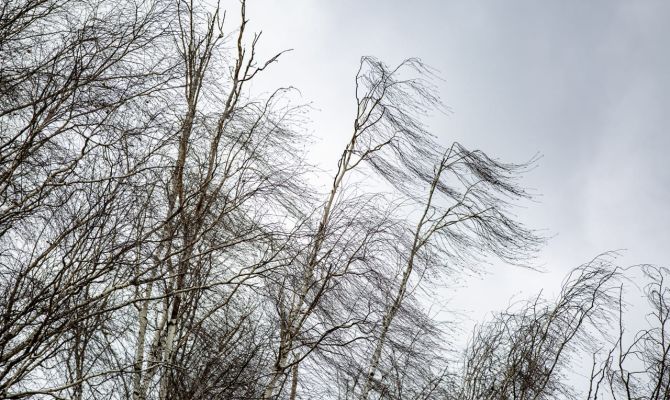 На Тульскую область надвигается сильный ветер