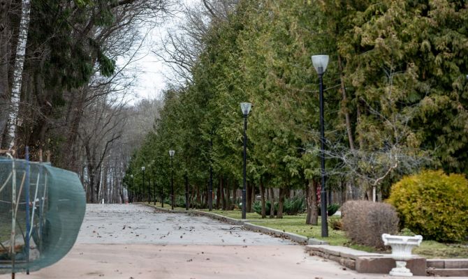 В Тульской области ожидается усиление ветра