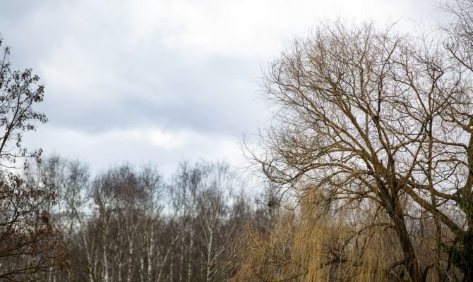 В ночь на 6 апреля в Тульской области будет до -3 градусов