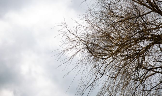 4 апреля в Тульской области будет сильный ветер