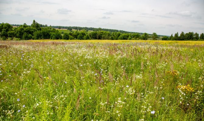 Тульская область заняла второе место среди регионов России по популярности деревенского туризма