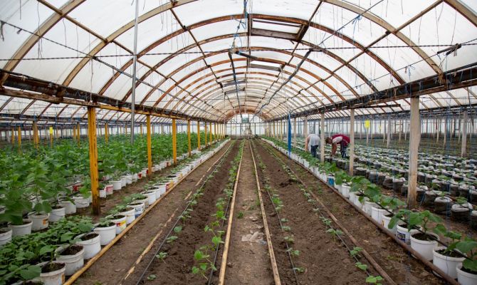 Сколько в Тульской области получают агрономы и трактористы