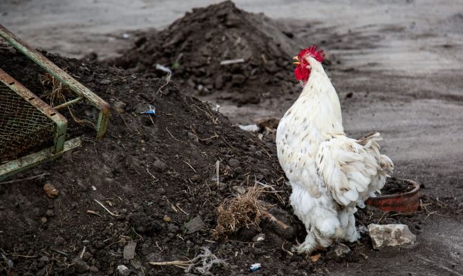 Более 90 предприятий Москвы, Подмосковья и Тульской области получили доступ к экспорту