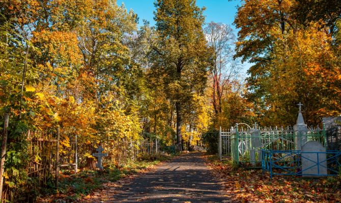 В Туле на Всехсвятском кладбище пройдет акция "Поисковый десант"