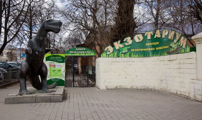 Тульский Экзотариум стал учреждением культуры