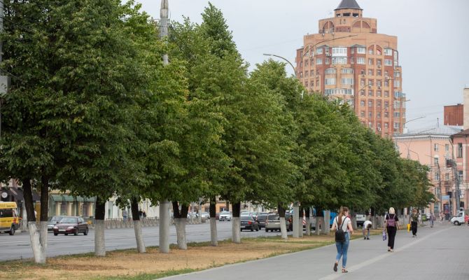 Биолог назвала главные причины гибели деревьев в Туле