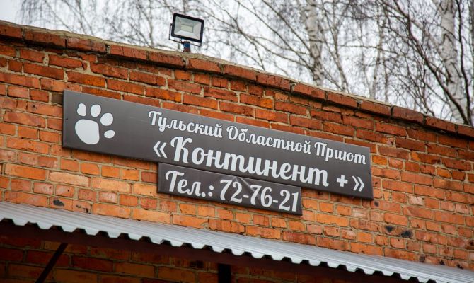 Сотрудницу тульского приюта "Континент+" обвинили в краже денег из бюджета