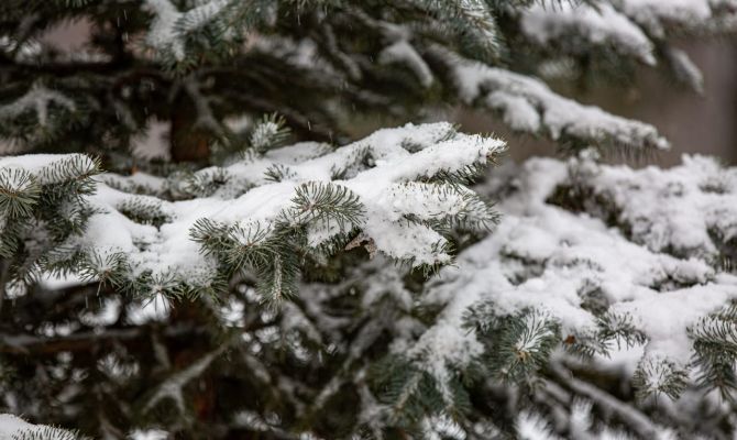 В ночь на 12 января в Тульской области температура опустится до -16 градусов