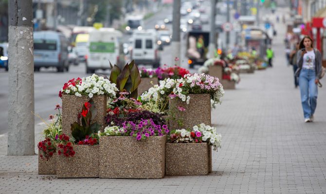Больше трети туляков не любили 1 сентября в школьные годы