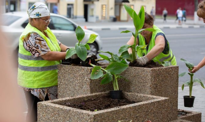 Тульская область вошла в десятку регионов с минимальной долей трудящейся молодежи