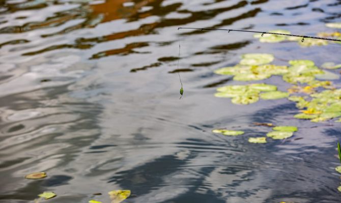 В Алексине суд прекратил уголовное дело в отношении двух рыбаков