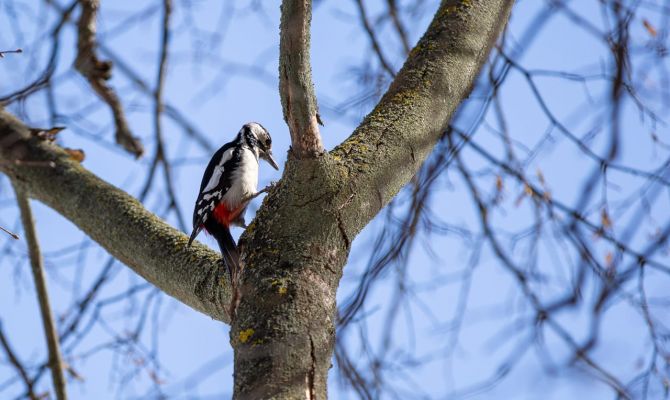 13 марта в Туле ожидается до 7 градусов тепла