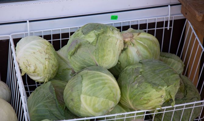 В Тульской области за неделю подорожали капуста, огурцы и пшено