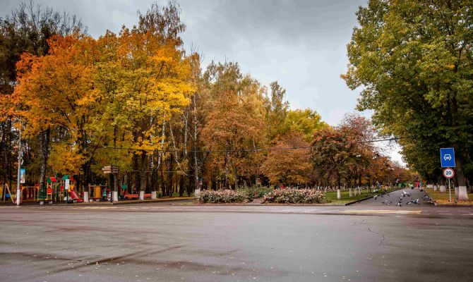 В Центральном парке Тулы заметили самого маленького дятла России