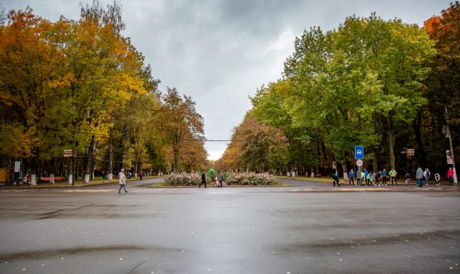 11 ноября в Туле будет до 7 градусов тепла