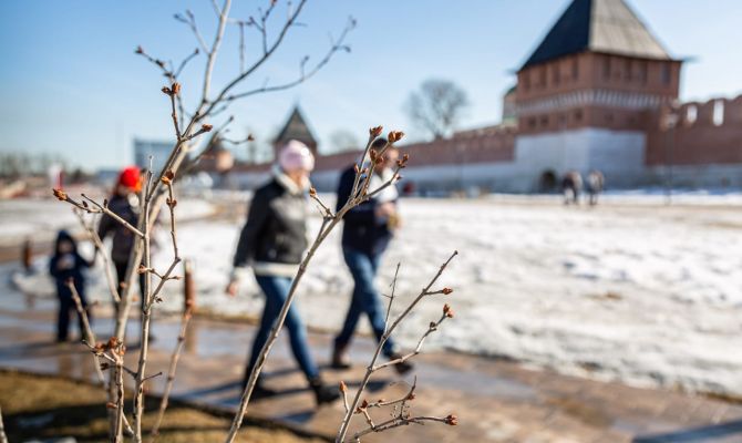 Тульская область заняла 40-е место в рейтинге по уровню зарплат в провинции