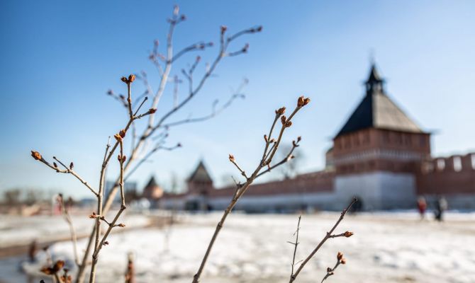 В ночь на 5 апреля в Тульской области будут заморозки