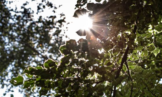 17 мая в Тульской области будет +22 градуса