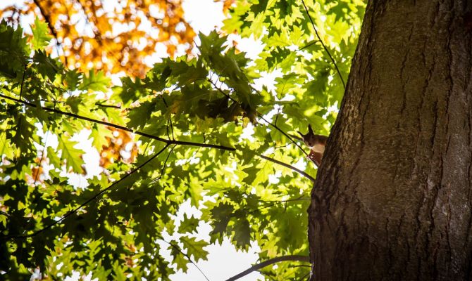 17 сентября туляков ждет мощная геомагнитная буря