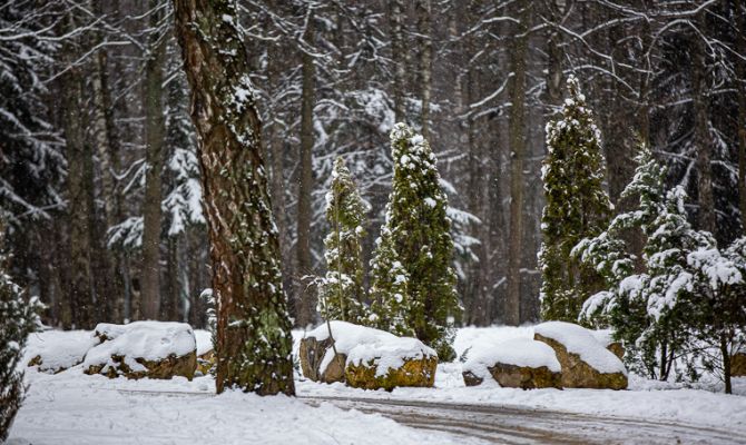 16 ноября в Тульской области ожидаются геомагнитные возмущения