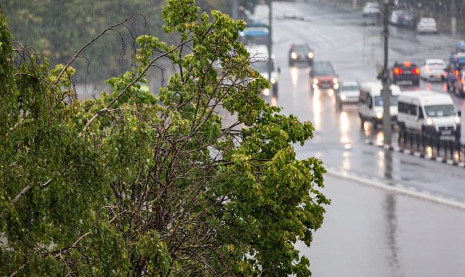 В ближайшие часы в Тульской области ожидается гроза с усилением ветра