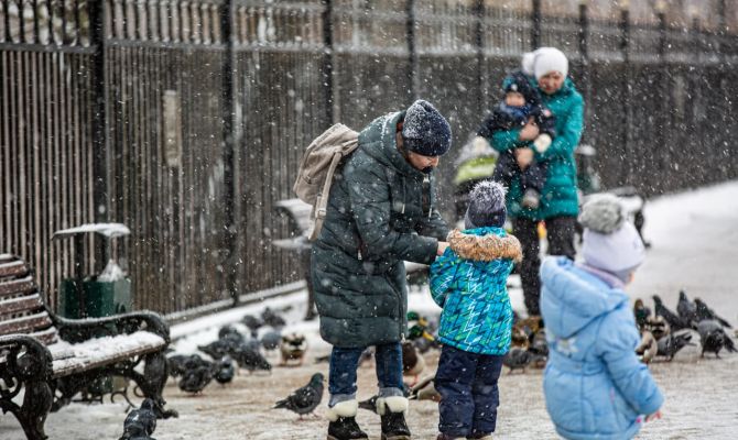 23 декабря в Тульской области будет до +3 градусов