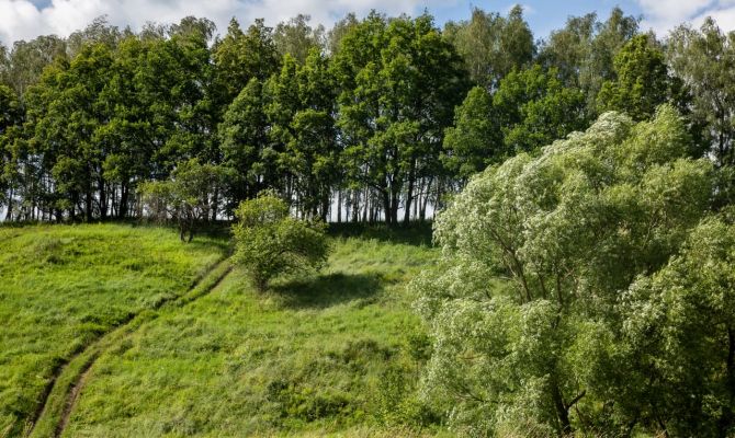 Для туляков проведут научную лекцию о древнерусском городище Спицино