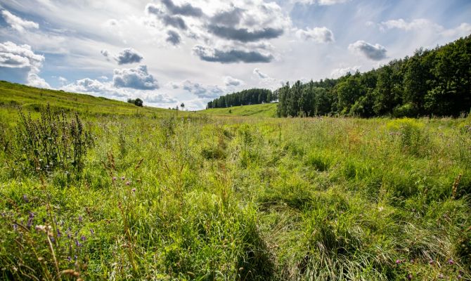 В Тульской области выявлено более 1,6 тысячи участков для жилищного строительства