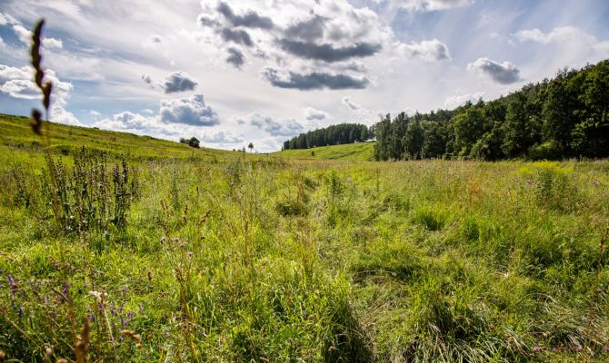 Росреестр рассказал, как тулякам объединить два земельных участка в один