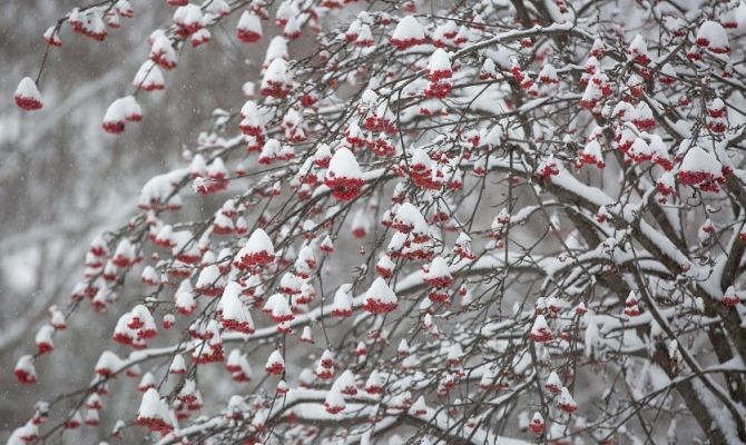 Туляков предупреждают об ухудшении погоды
