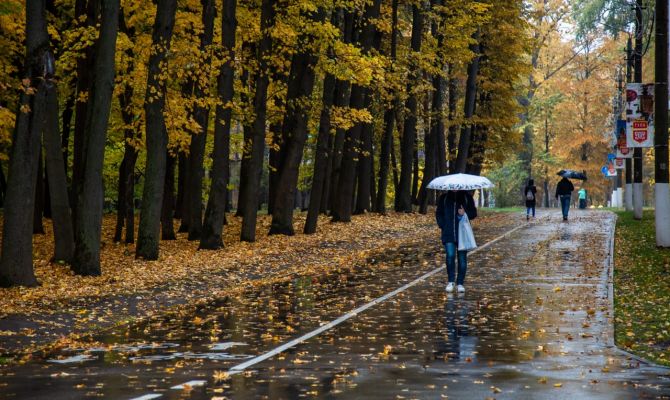 Ночью в Туле ожидается небольшой дождь