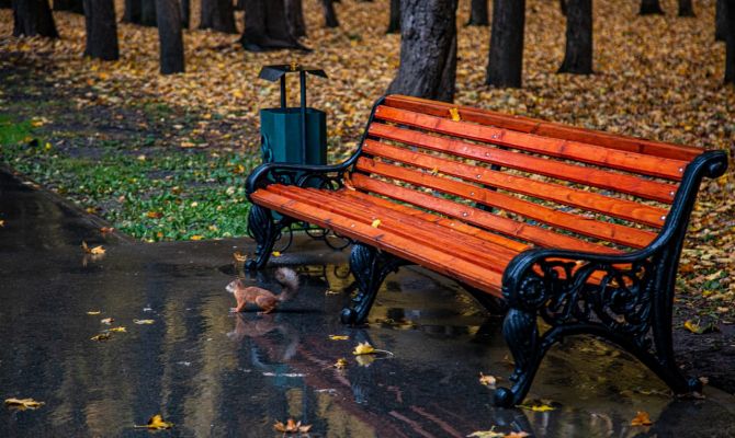В Новомосковске оштрафовали гражданина Узбекистана за попытку украсть урны из парка