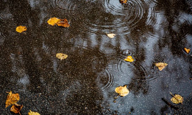 15 октября в Тульской области будет до +8 градусов